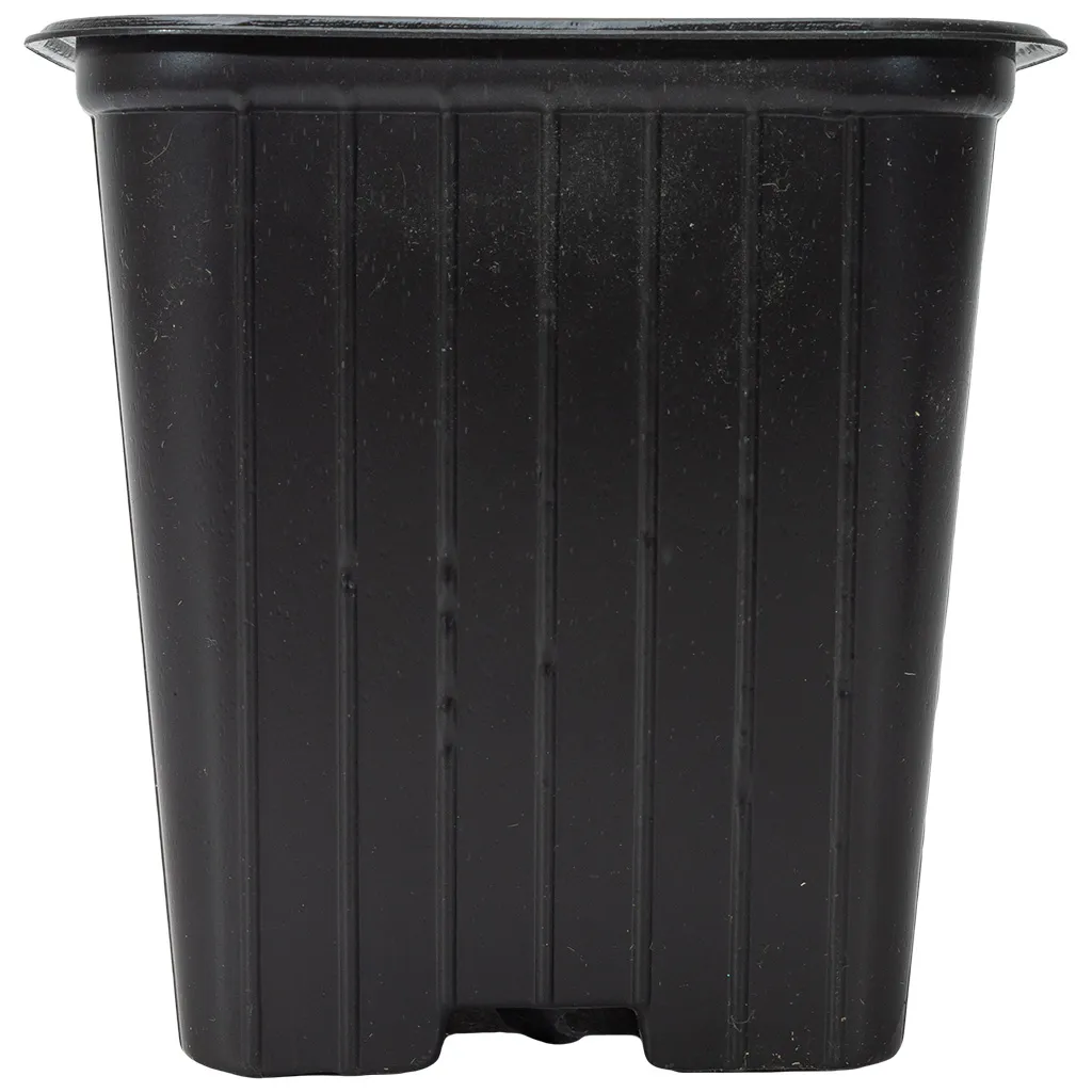 Контейнер для рассады, квадратный, 80х80х80мм, 310мл