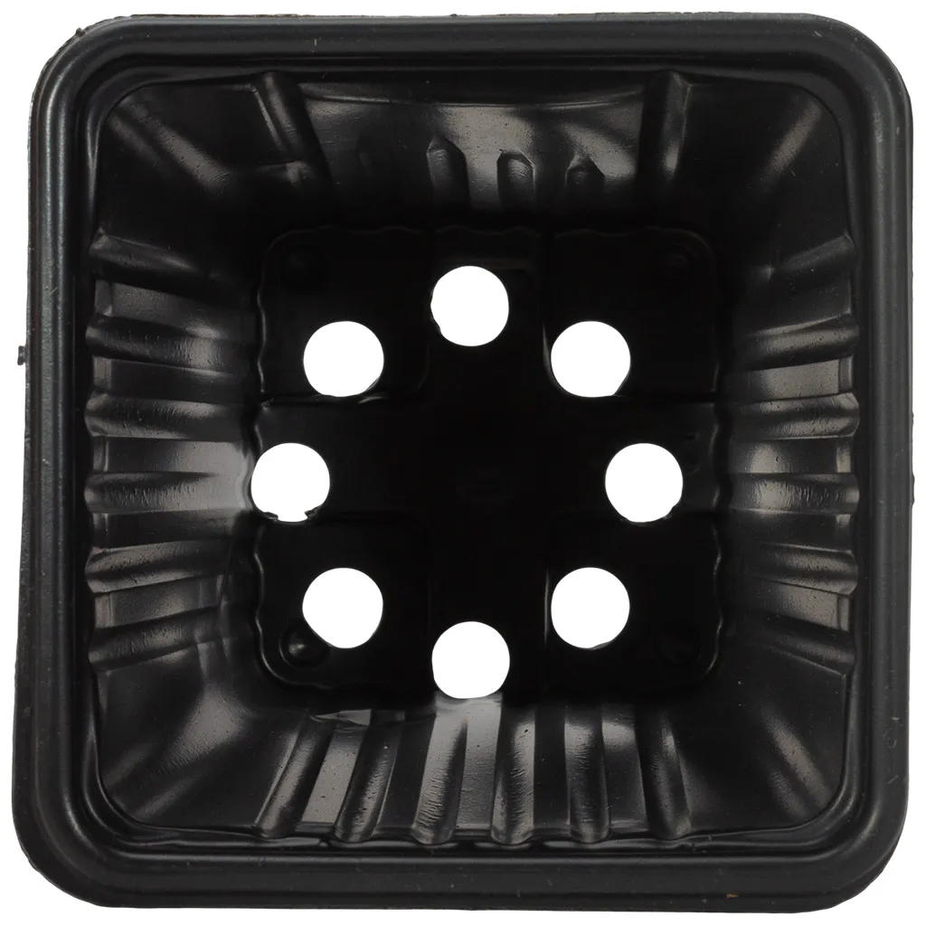 Контейнер для рассады, квадратный, 70х70х80мм, 250мл