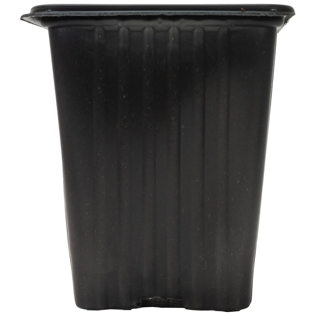 Контейнер для рассады, квадратный, 70х70х80мм, 250мл