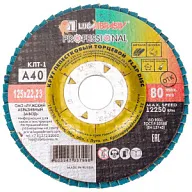 Круг шлифовальный лепестковый Луга, 125х22.2мм, Р40, торцевой цены в Воронеже