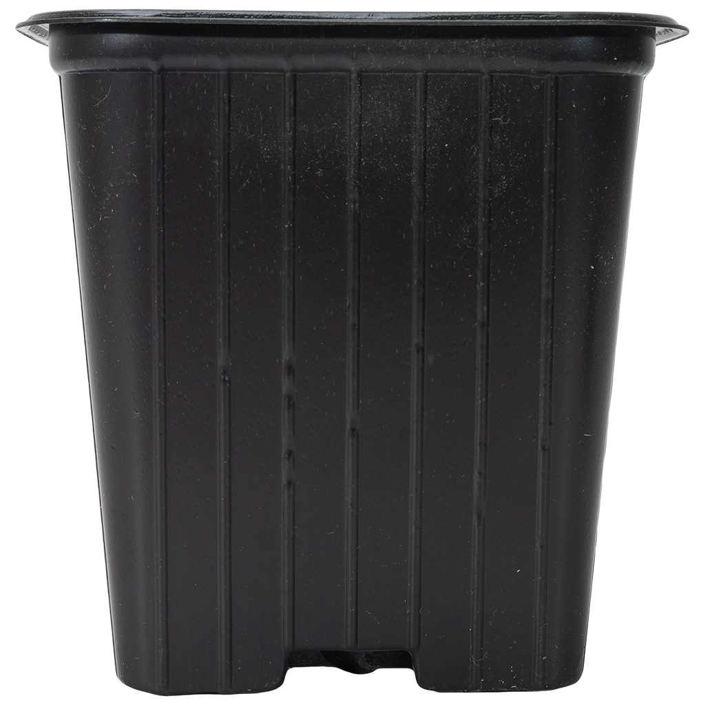 Контейнер для рассады, квадратный, 80х80х80мм, 310мл