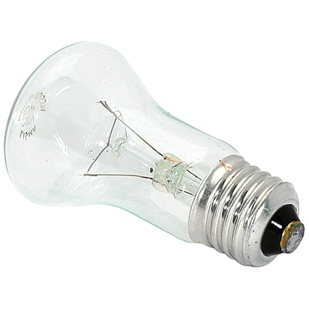 Лампа накаливания "Лисма", груша прозрачная, 60Вт, Е27