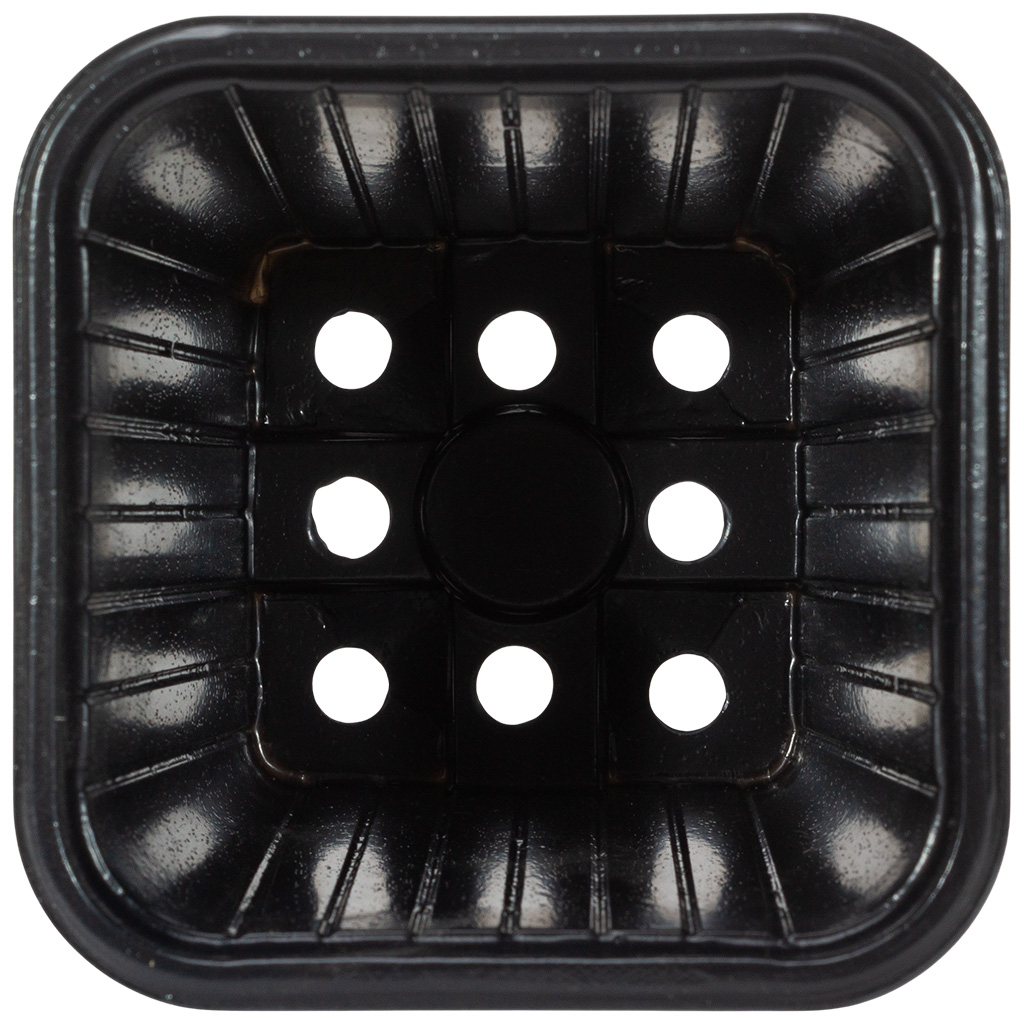 Контейнер для рассады, квадратный, 80х80х80мм, 310мл