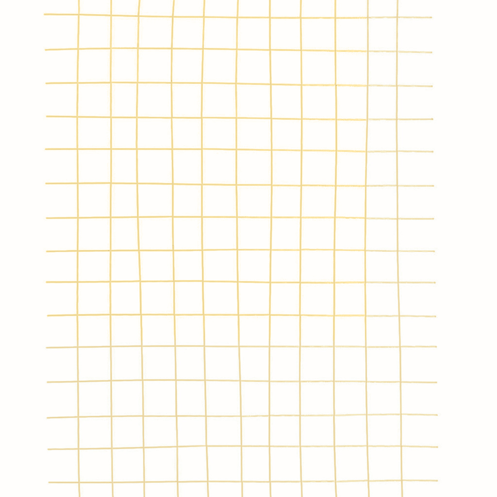 Сетка в картах яч.50х50х2мм, 1х2м, стеклопластиковая