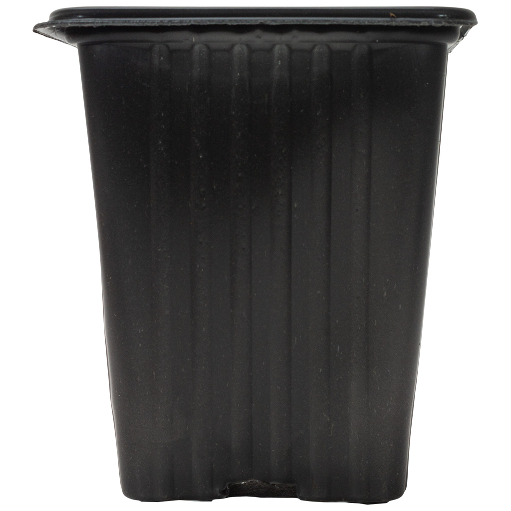 Контейнер для рассады, квадратный, 70х70х80мм, 250мл