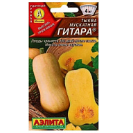 Семена Аэлита, Тыква мускатная Гитара цены в Воронеже