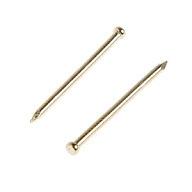 Гвоздь финишный Гвоздь финишный  30 х 1.4мм, латунь, 0,1кг Гвоздь финишный  30 х 1.4мм, латунь, 0,1кг цены в Воронеже