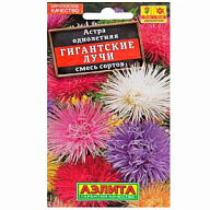 Семена Аэлита, Астра Гигантские лучи, смесь сортов цены в Воронеже