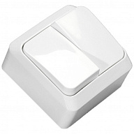 Выключатели Выключатель открытой проводки Systeme Electric Этюд, 2-клавишный, 10А, белый Выключатель открытой проводки Systeme Electric Этюд, 2-клавишный, 10А, белый цены в Воронеже