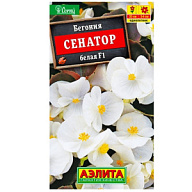 Семена Аэлита, Бегония вечноцветущая Сенатор белая F1 цены в Воронеже